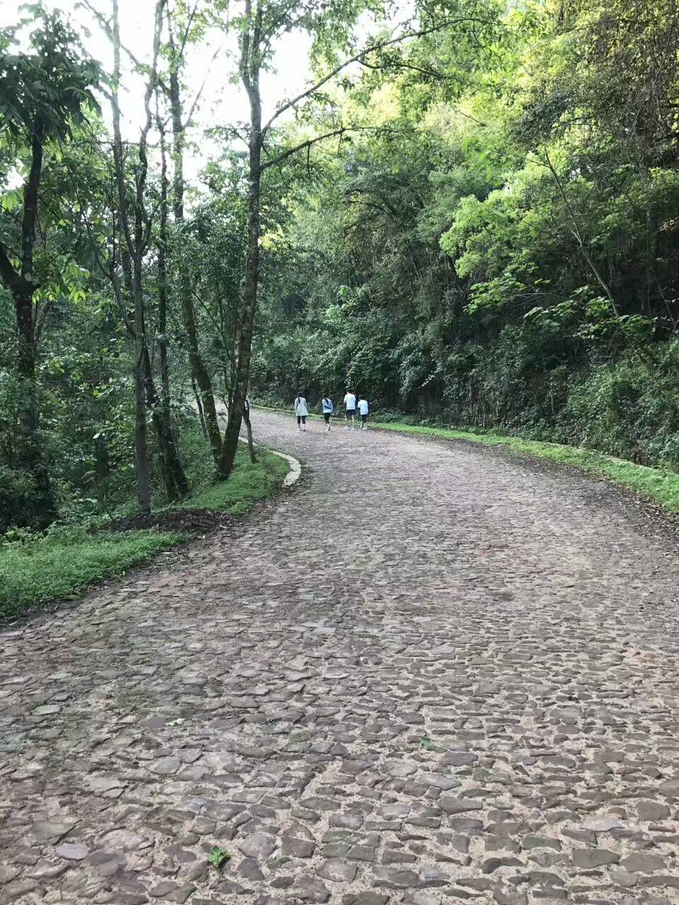 红足1世官网